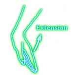 Extension